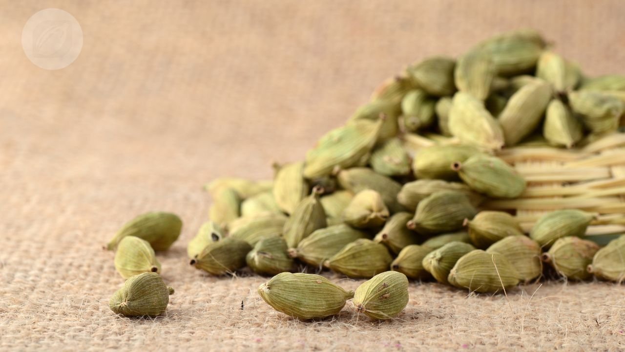 Top 5 Largest Cardamom Producing States In India